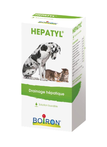 Image HEPATYL SOLUTION BUVABLE FLACON 30ML